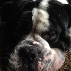 Meet your Posher, Aryan